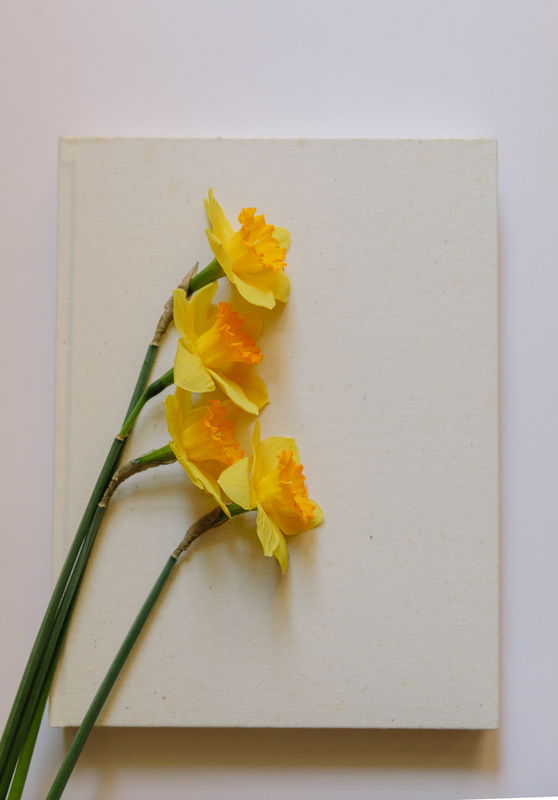 Daffodils on Blank Canvas